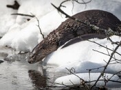 Mirror, mirror......