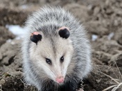 Well Hello!!! Nice meeting you!