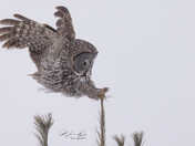 "I can do this with my eyes closed"