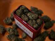 Buy CBD Hemp Flower Online | Premium Quality for Relaxation