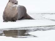 Feeling stache-tastic!!