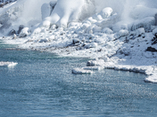 The Gulls of Niagara Falls