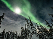 Northern Lights over the boreal forest