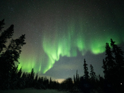 Northern Lights over the boreal forest