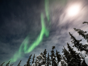 Northern Lights over the boreal forest
