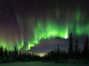 Northern Lights over the boreal forest
