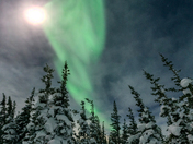 Northern Lights over the boreal forest