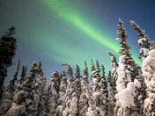 Northern Lights over the boreal forest