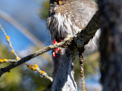 Nature Isn't Always Pretty