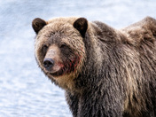 Do You Have a Napkin?