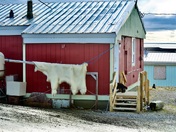 Inuit hamlet Resolute