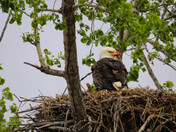 Parenting is Messy Business