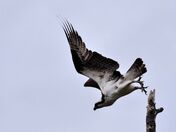 The moment after decision.