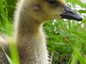 Fresh out of the water