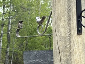 Ruby Throated Hummingbird 