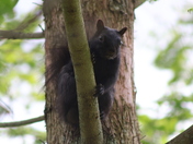 Nature’s Little Ninja