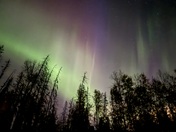 Northern Lights