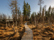 Shots from inside Prince Albert National Park