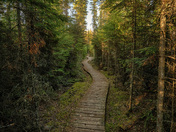 Shots from inside Prince Albert National Park