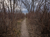 Shots from inside Prince Albert National Park