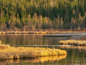 Shots from inside Prince Albert National Park