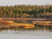 Shots from inside Prince Albert National Park