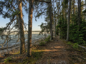 Shots from inside Prince Albert National Park