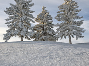 Frosty Saskatchewan Nights