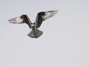 Love that angel pose