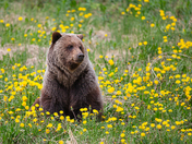 AFTERNOON SNACK TIME