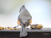 This one's mine (#2)