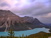 Peyto Sunrise