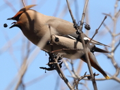 Stopping By For a Bite