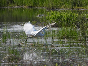 Sortie du 14 juin 2025. Pictures of the 14 th of June 2025