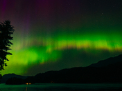 Northern Lights over Egmont BC