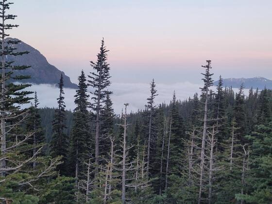 Olympic National Park