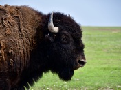 Badlands National Park