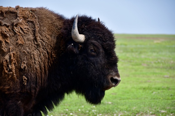 Badlands National Park