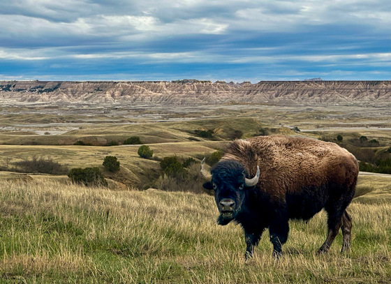 Badlands National Park