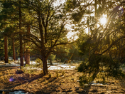 Grand Canyon National Park 