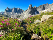 Bridget-Teton National Forest