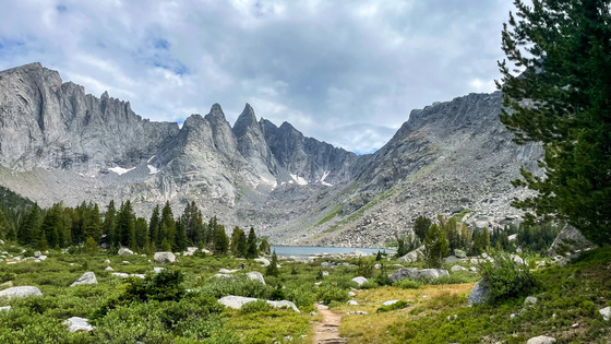 Bridget-Teton National Forest