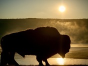 Yellowstone National Park