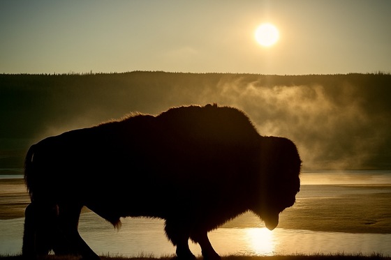 Yellowstone National Park