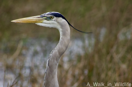 Everglades National Park