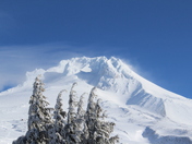 Mt. Hood National Forest