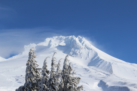Mt. Hood National Forest