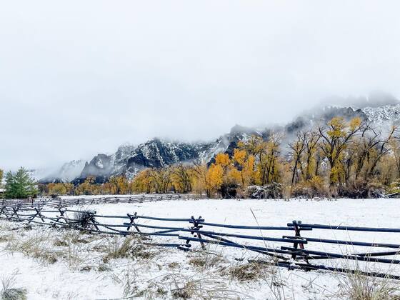 Yellowstone National Park