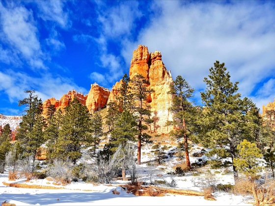 Bryce Canyon National Park