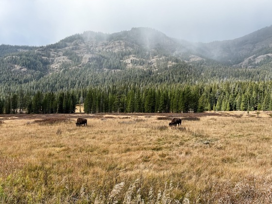Yellowstone National Park